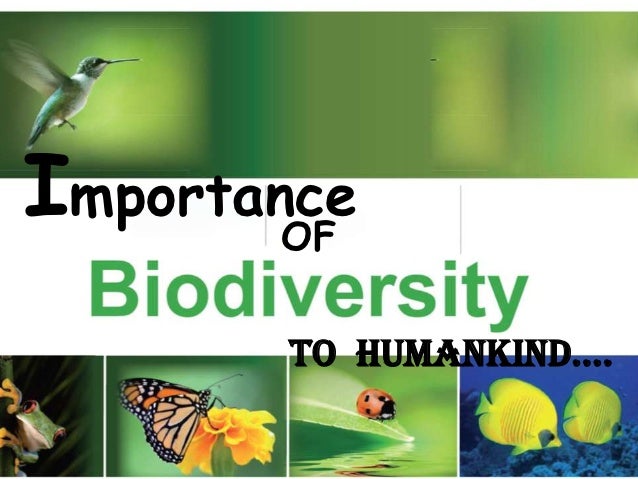 importance of biodiversity