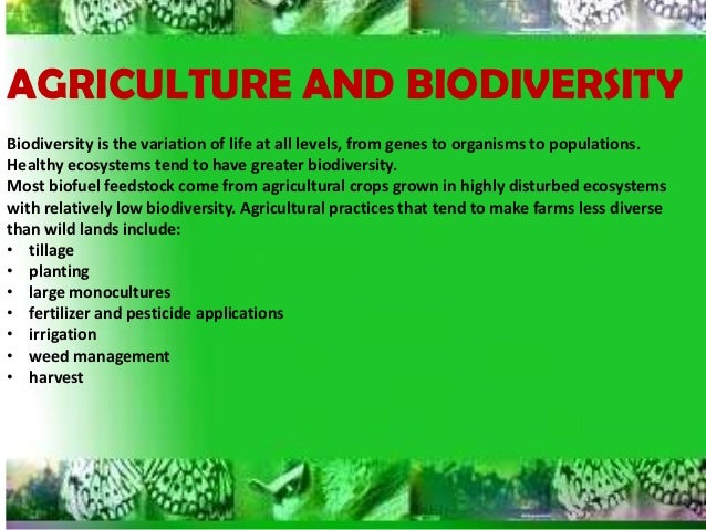 importance of biodiversity
