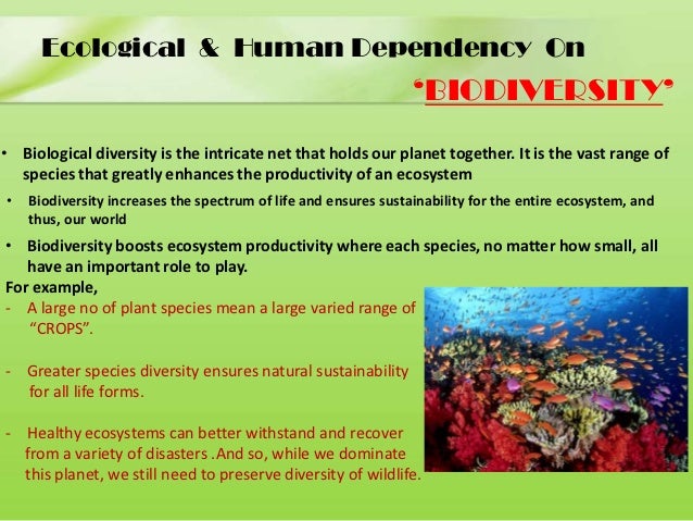 importance of biodiversity