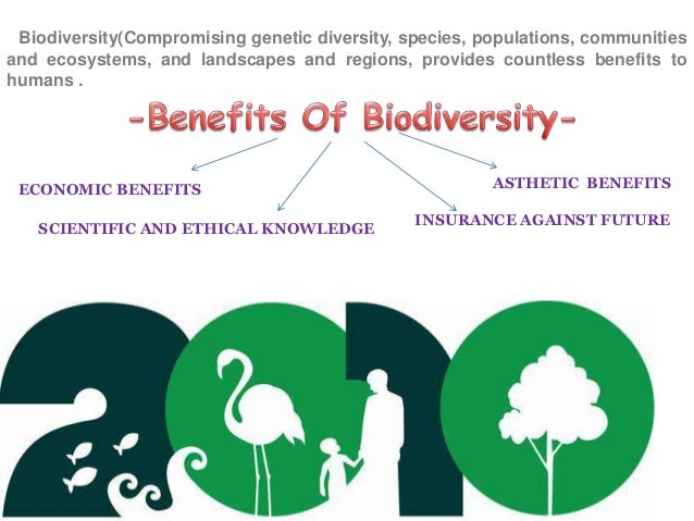 Importance of biodiversity to humanKinds