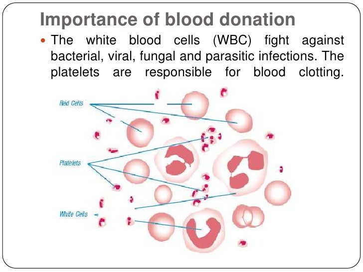 Importance of blood donation The   white blood cells (WBC) fight against bacterial, viral, fungal and parasitic infection...