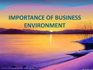 IMPORTANCE OF BUSINESS
ENVIRONMENT
 