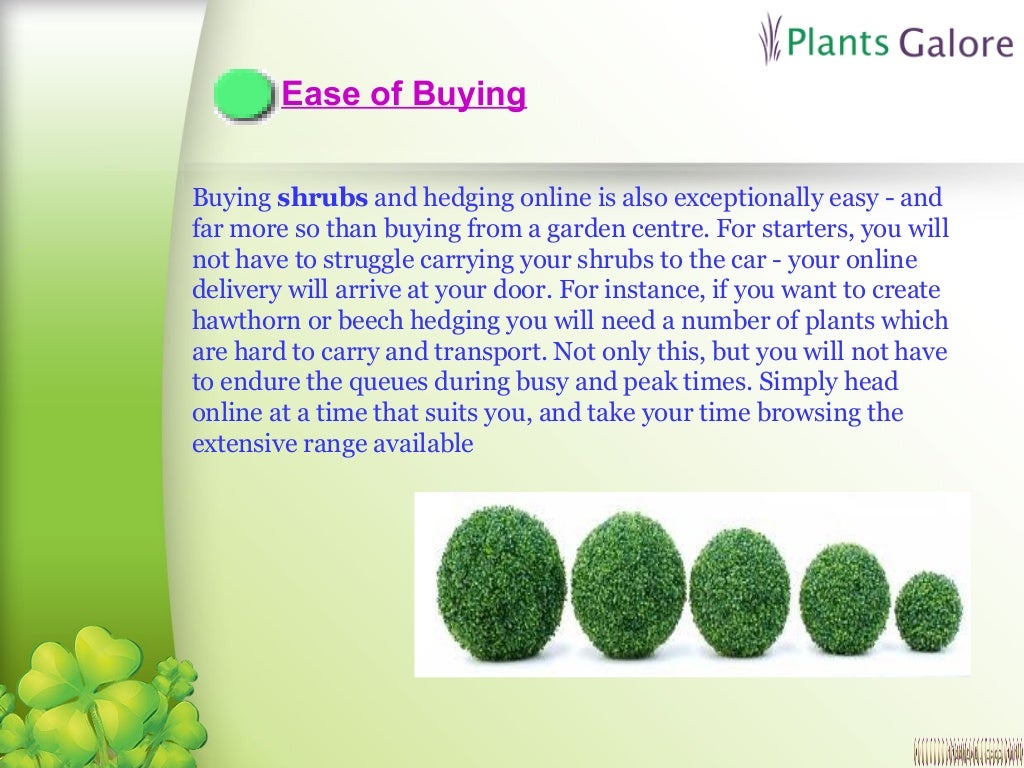Importance of Buying Shrubs Online