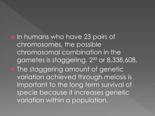  In humans who have 23 pairs of 
chromosomes, the possible 
chromosomal combination in the 
gametes is staggering, 2²³ or 8,338,608. 
 The staggering amount of genetic 
variation achieved through meiosis is 
important to the long term survival of 
specie because it increases genetic 
variation within a population. 
 