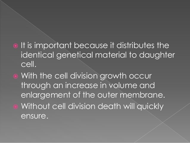 Importance Of Cell Division