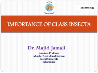 Dr. Majid Jamali
IMPORTANCE OF CLASS INSECTA
Assistant Professor
School of Agricultural Sciences
Glocal University
Saharanpur
Entomology
 