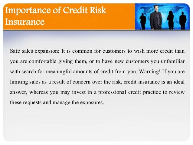 Importance Of Credit Risk Insurance