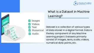 Importance of Datasets in Machine Learning and AI Research.pdf