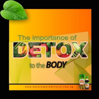 Importance of detox to the body