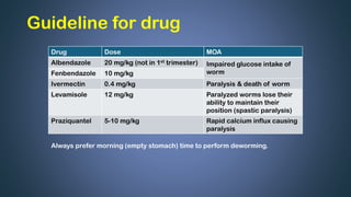 Comprehensive Guide to Deworming in Veterinary Practice: Drugs, Risks ...