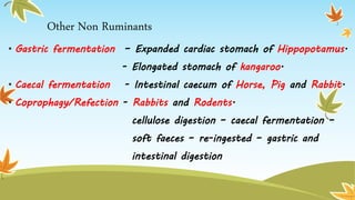 Importance of dietary fibers & ruminant digestion | PPTX