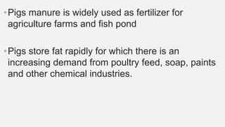 •Pigs manure is widely used as fertilizer for
agriculture farms and fish pond
•Pigs store fat rapidly for which there is an
increasing demand from poultry feed, soap, paints
and other chemical industries.
 