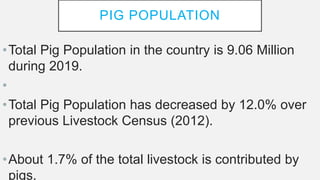 PIG POPULATION
•Total Pig Population in the country is 9.06 Million
during 2019.
•
•Total Pig Population has decreased by 12.0% over
previous Livestock Census (2012).
•About 1.7% of the total livestock is contributed by
pigs.
 