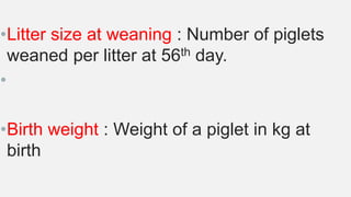 •Litter size at weaning : Number of piglets
weaned per litter at 56th day.
•
•Birth weight : Weight of a piglet in kg at
birth
 