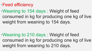 •Feed efficiency
•Weaning to 154 days : Weight of feed
consumed in kg for producing one kg of live
weight from weaning to 154 days.
•Weaning to 210 days : Weight of feed
consumed in kg for producing one kg of live
weight from weaning to 210 days.
 