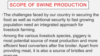 SCOPE OF SWINE PRODUCTION
•The challenges faced by our country in securing the
food as well as nutritional security to fast growing
population need an integrated approach for
livestock farming.
•Among the various livestock species, piggery is
most potential source of meat production and more
efficient feed converters after the broiler. Apart from
providing meat, it is also a source of bristles and
 