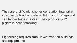 •They are prolific with shorter generation interval. A
sow can be bred as early as 8-9 months of age and
can farrow twice in a year. They produce 6-12
piglets in each farrowing.
•Pig farming requires small investment on buildings
and equipments
 