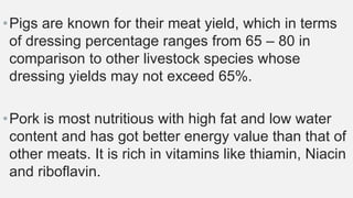 •Pigs are known for their meat yield, which in terms
of dressing percentage ranges from 65 – 80 in
comparison to other livestock species whose
dressing yields may not exceed 65%.
•Pork is most nutritious with high fat and low water
content and has got better energy value than that of
other meats. It is rich in vitamins like thiamin, Niacin
and riboflavin.
 