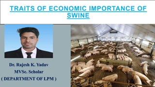 Dr. Rajesh K. Yadav
MVSc. Scholar
( DEPARTMENT OF LPM )
TRAITS OF ECONOMIC IMPORTANCE OF
SWINE
 