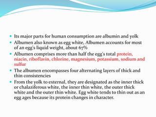  Its major parts for human consumption are albumin and yolk
 Albumen also known as egg white, Albumen accounts for most
of an egg's liquid weight, about 67%
 Albumen comprises more than half the egg's total protein,
niacin, riboflavin, chlorine, magnesium, potassium, sodium and
sulfur
 The albumen encompasses four alternating layers of thick and
thin consistencies
 From the yolk to external, they are designated as the inner thick
or chalaziferous white, the inner thin white, the outer thick
white and the outer thin white. Egg white tends to thin out as an
egg ages because its protein changes in character.
 