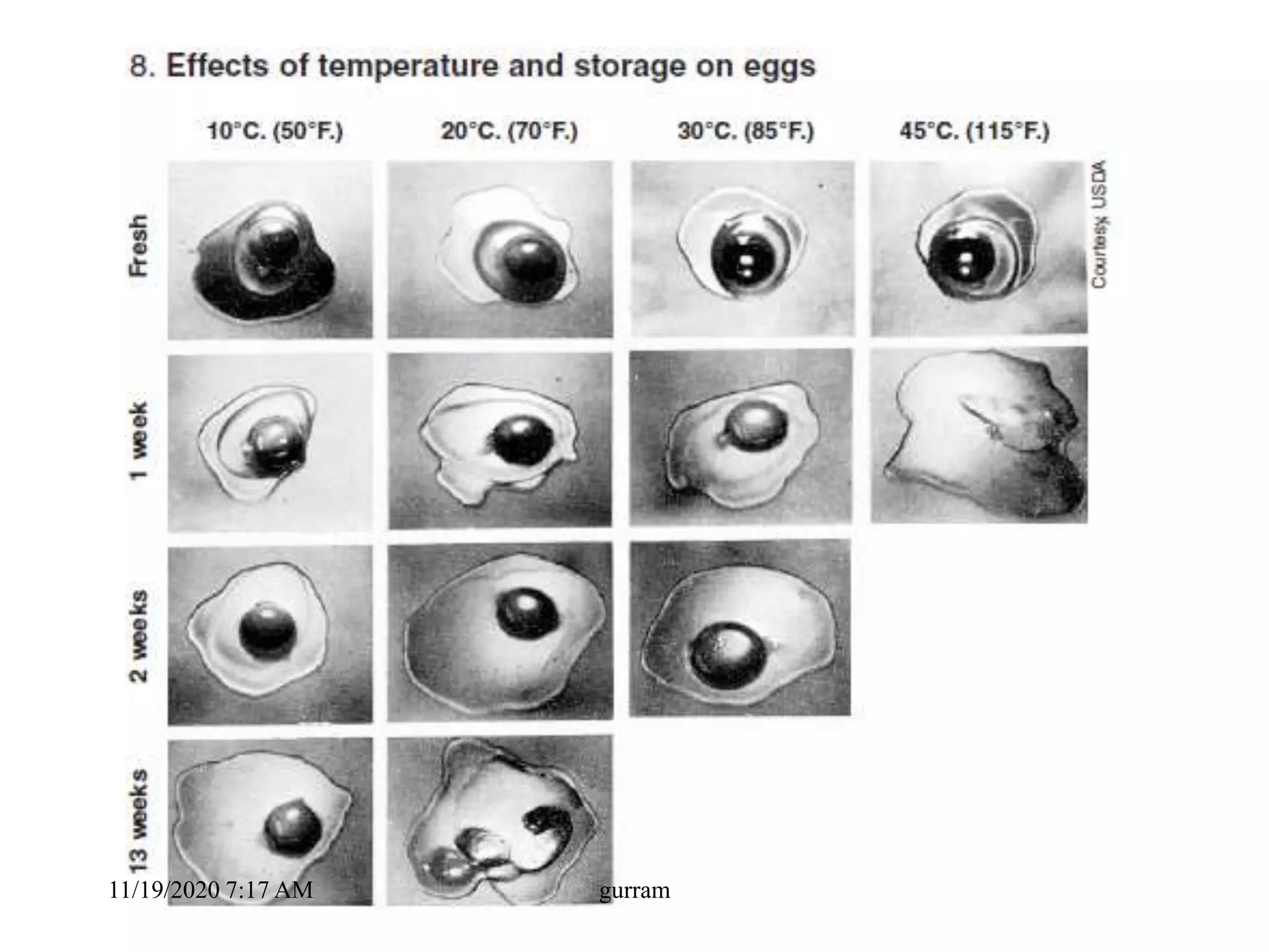 11/19/2020 7:17 AM gurram
 