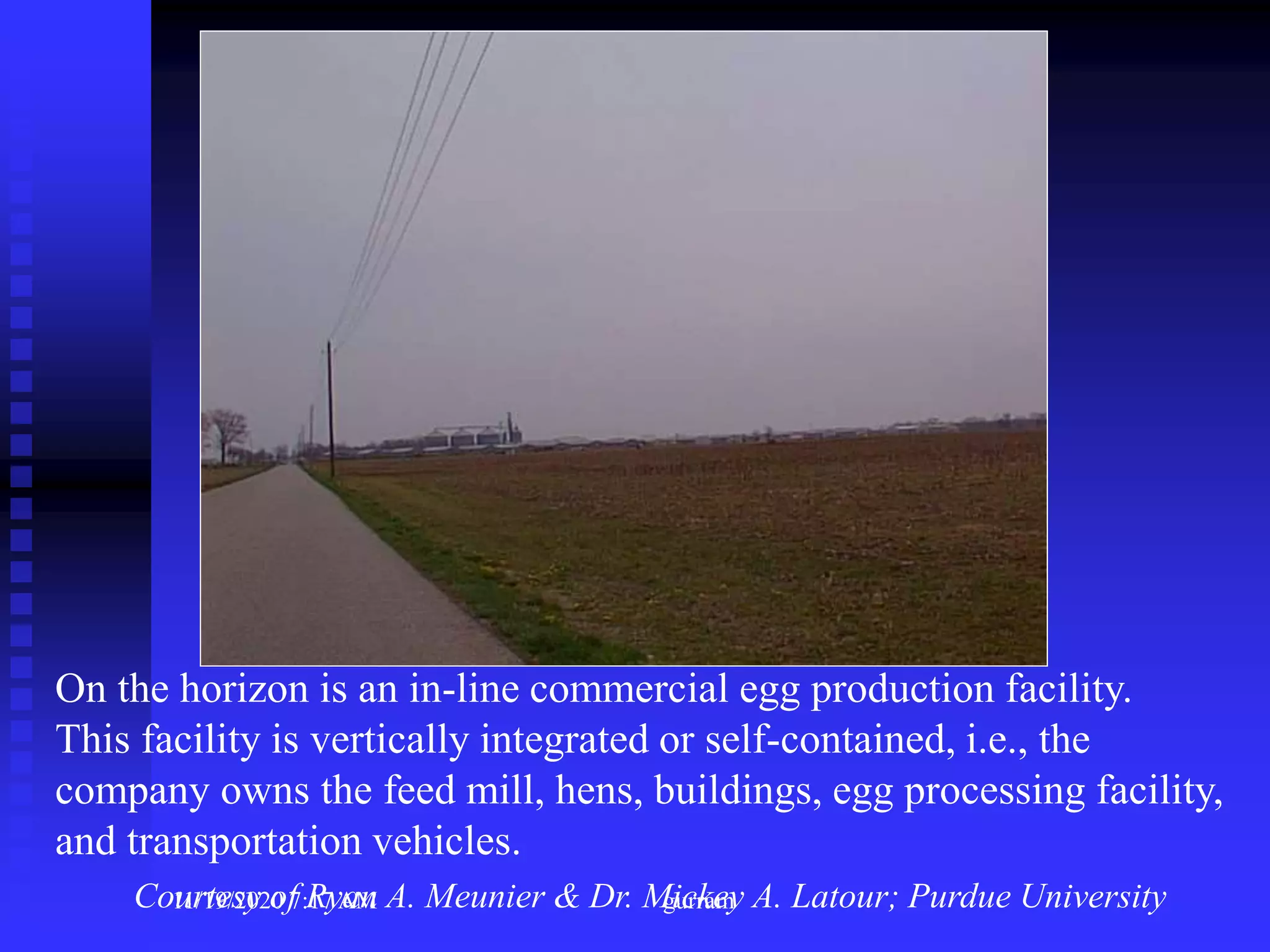On the horizon is an in-line commercial egg production facility.
This facility is vertically integrated or self-contained, i.e., the
company owns the feed mill, hens, buildings, egg processing facility,
and transportation vehicles.
Courtesy of Ryan A. Meunier & Dr. Mickey A. Latour; Purdue University11/19/2020 7:17 AM gurram
 