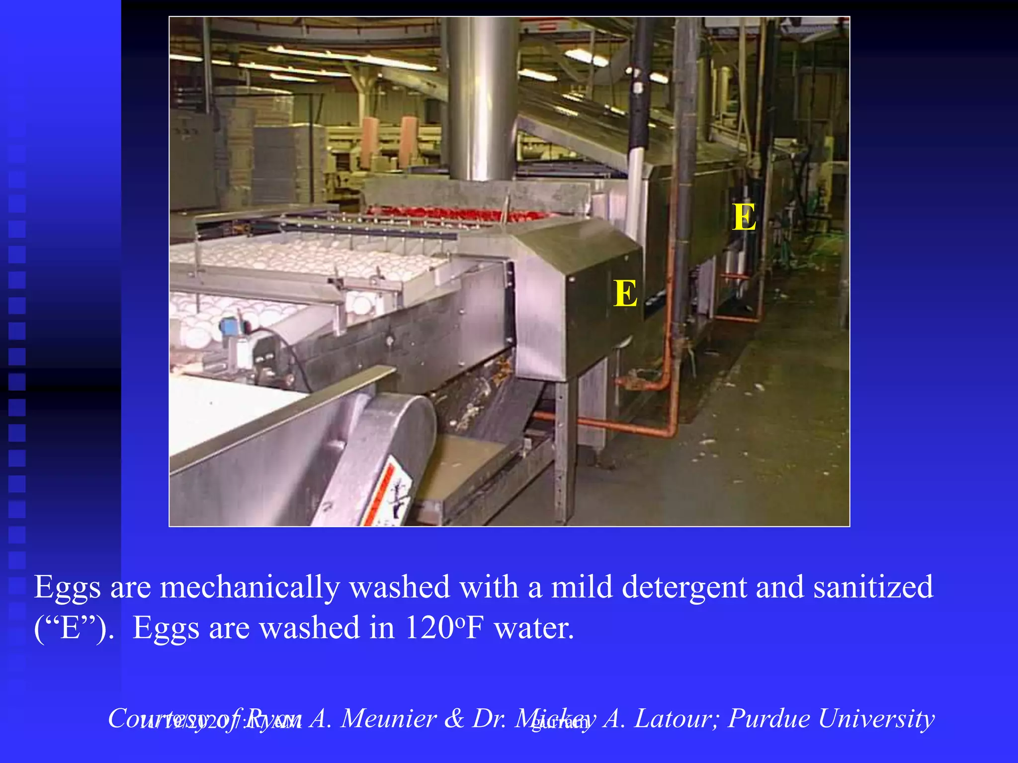 Eggs are mechanically washed with a mild detergent and sanitized
(“E”). Eggs are washed in 120oF water.
E
E
Courtesy of Ryan A. Meunier & Dr. Mickey A. Latour; Purdue University11/19/2020 7:17 AM gurram
 