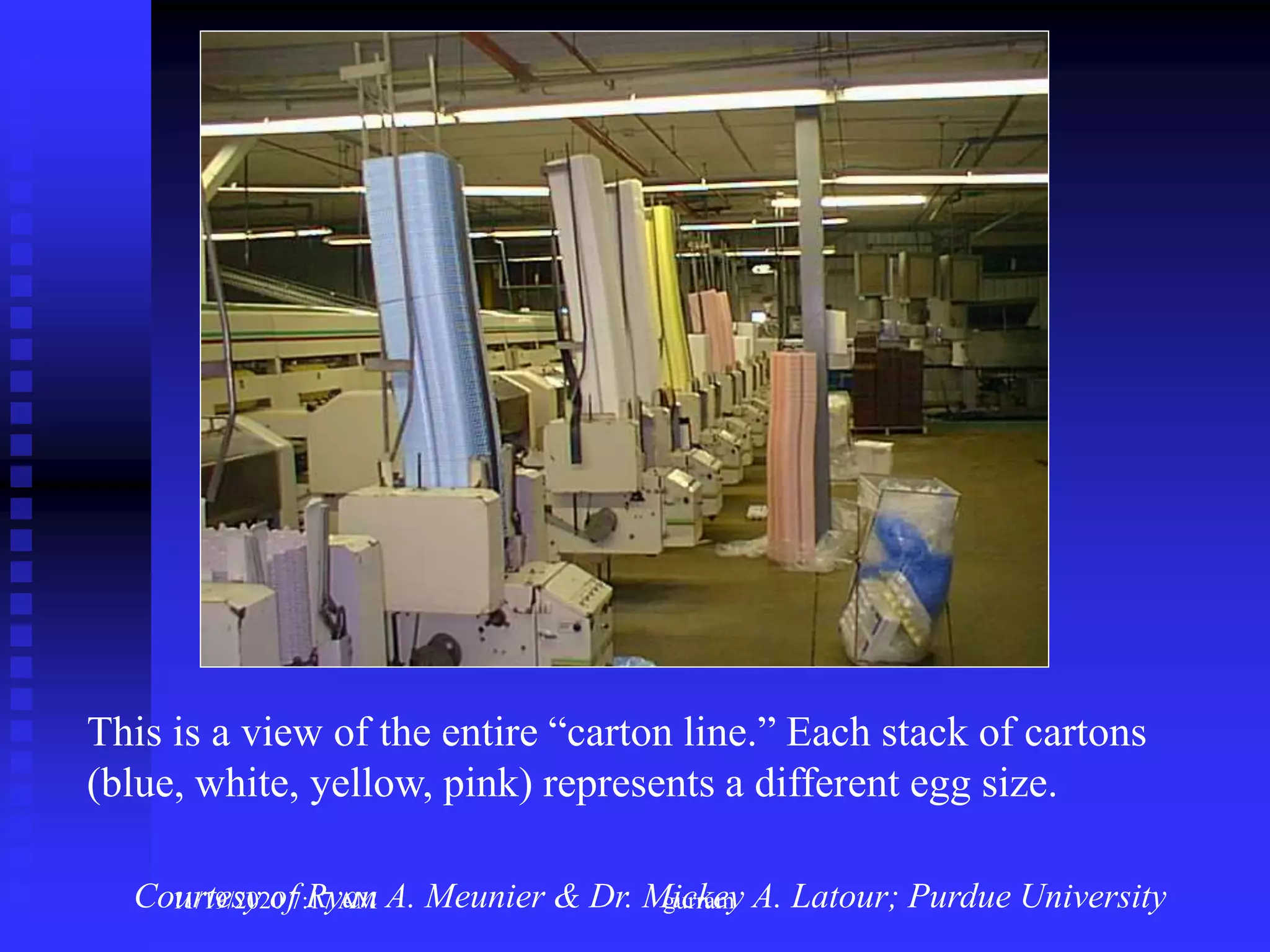 This is a view of the entire “carton line.” Each stack of cartons
(blue, white, yellow, pink) represents a different egg size.
Courtesy of Ryan A. Meunier & Dr. Mickey A. Latour; Purdue University11/19/2020 7:17 AM gurram
 