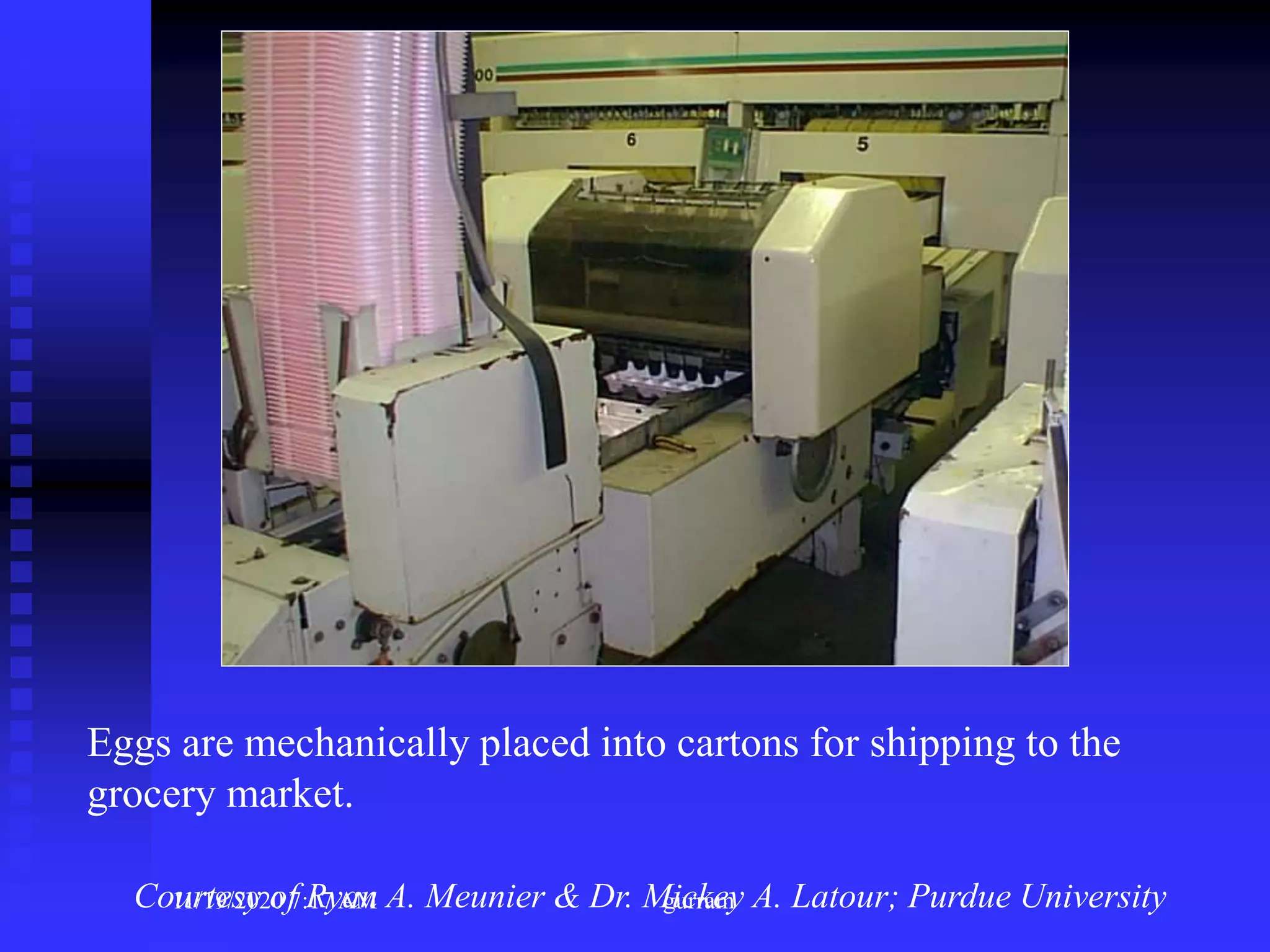 Eggs are mechanically placed into cartons for shipping to the
grocery market.
Courtesy of Ryan A. Meunier & Dr. Mickey A. Latour; Purdue University11/19/2020 7:17 AM gurram
 