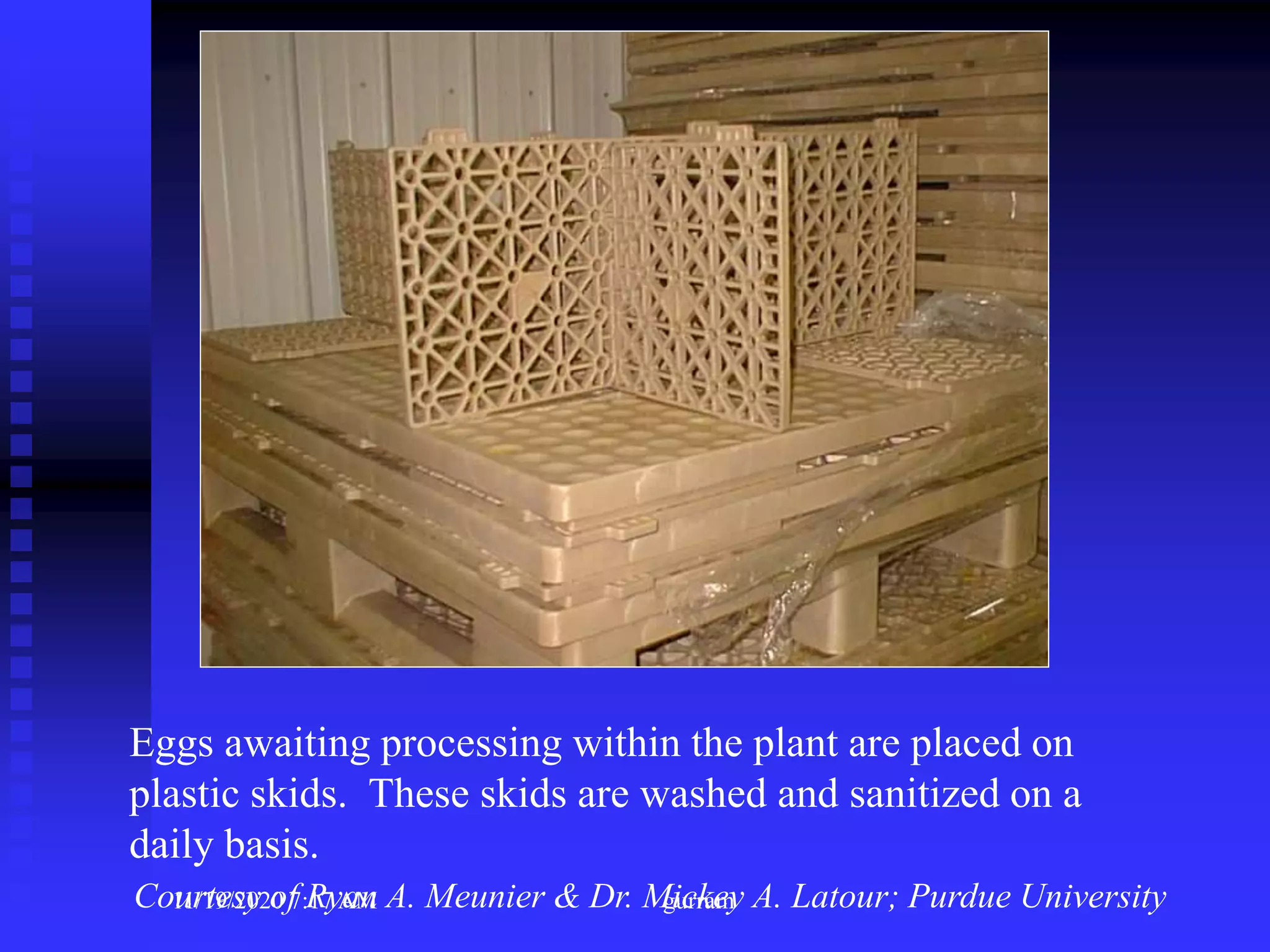 Eggs awaiting processing within the plant are placed on
plastic skids. These skids are washed and sanitized on a
daily basis.
Courtesy of Ryan A. Meunier & Dr. Mickey A. Latour; Purdue University11/19/2020 7:17 AM gurram
 