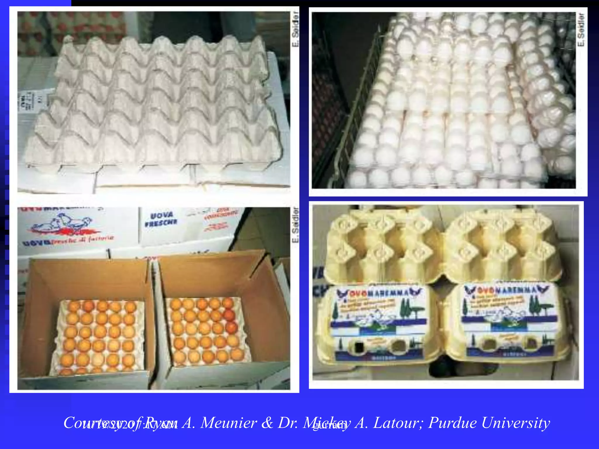 Courtesy of Ryan A. Meunier & Dr. Mickey A. Latour; Purdue University11/19/2020 7:17 AM gurram
 