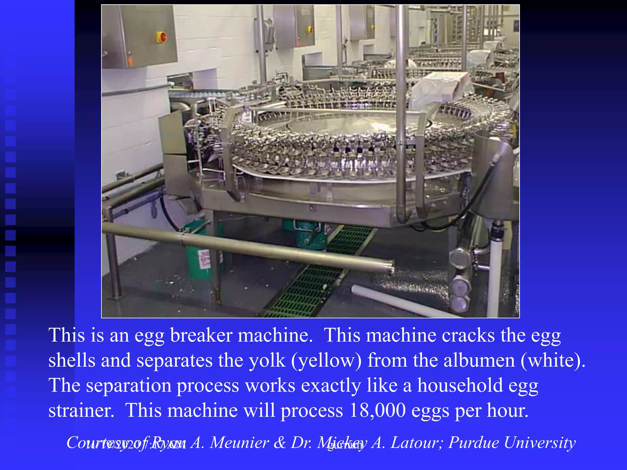 This is an egg breaker machine. This machine cracks the egg
shells and separates the yolk (yellow) from the albumen (white).
The separation process works exactly like a household egg
strainer. This machine will process 18,000 eggs per hour.
Courtesy of Ryan A. Meunier & Dr. Mickey A. Latour; Purdue University11/19/2020 7:17 AM gurram
 