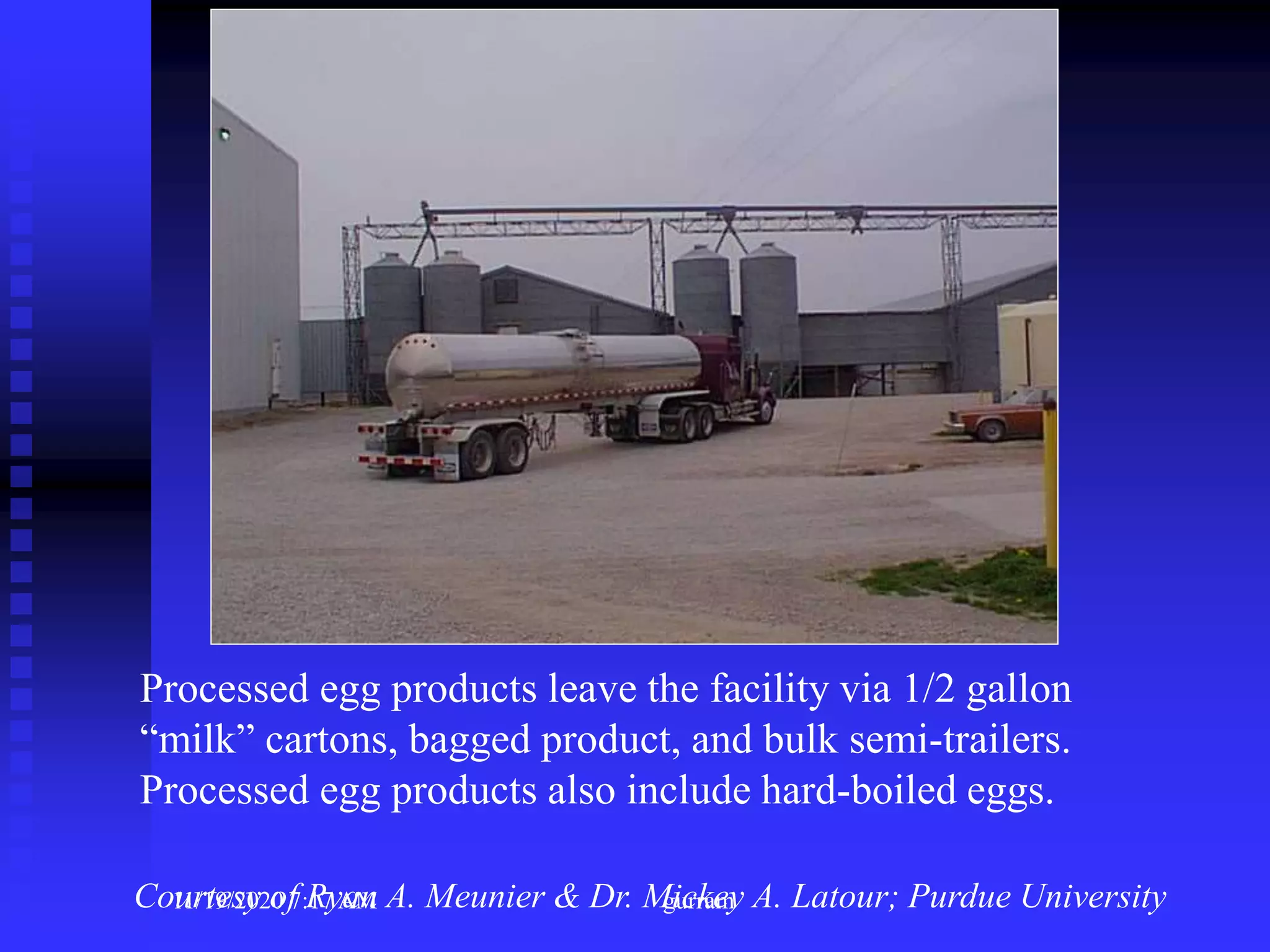 Processed egg products leave the facility via 1/2 gallon
“milk” cartons, bagged product, and bulk semi-trailers.
Processed egg products also include hard-boiled eggs.
Courtesy of Ryan A. Meunier & Dr. Mickey A. Latour; Purdue University11/19/2020 7:17 AM gurram
 