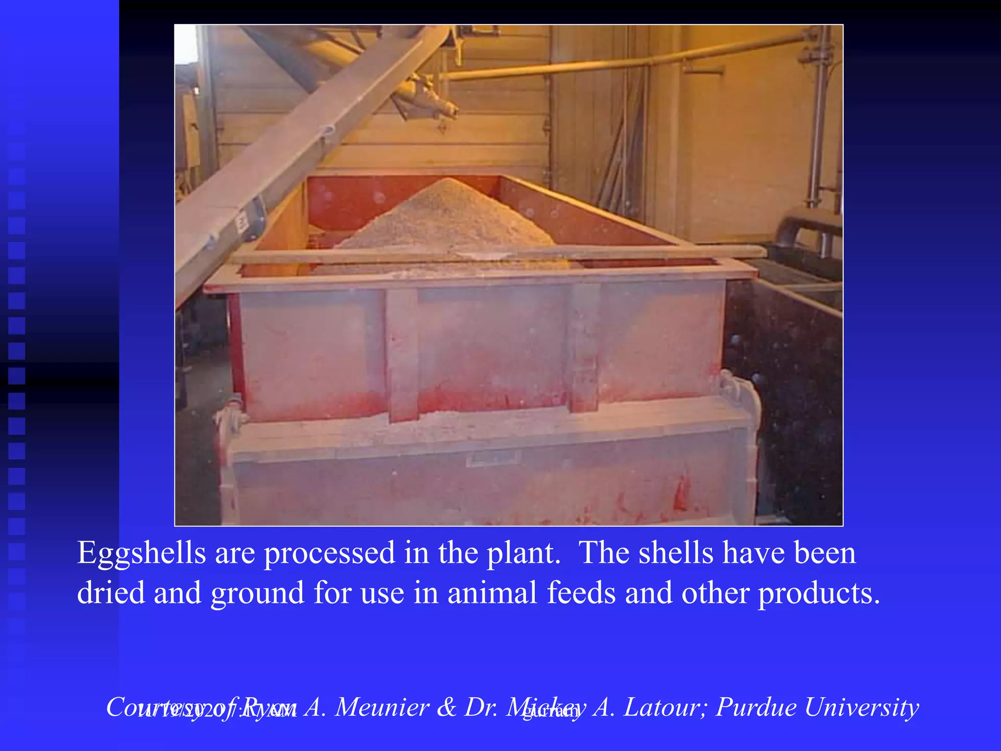 Eggshells are processed in the plant. The shells have been
dried and ground for use in animal feeds and other products.
Courtesy of Ryan A. Meunier & Dr. Mickey A. Latour; Purdue University11/19/2020 7:17 AM gurram
 