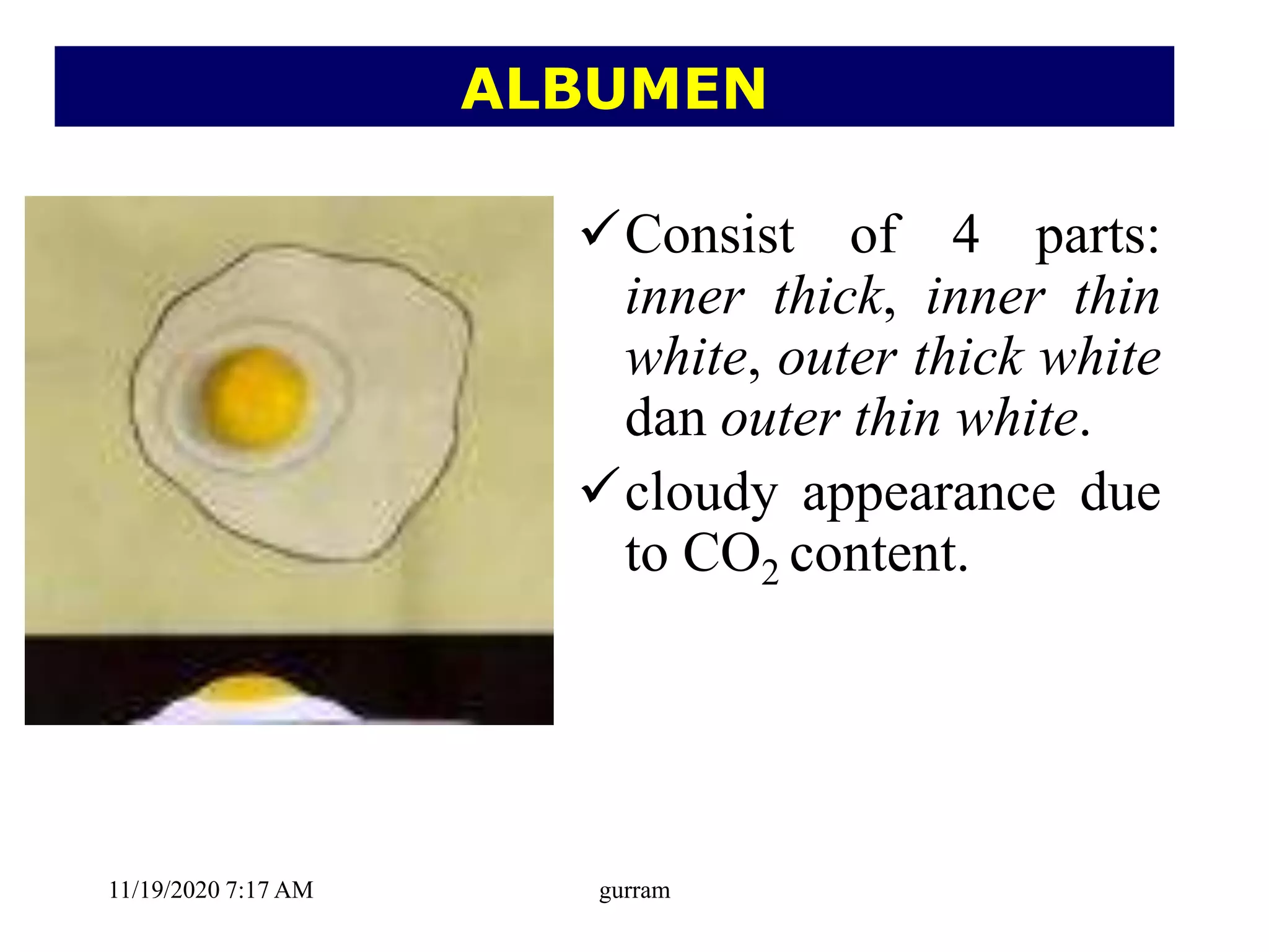 Consist of 4 parts:
inner thick, inner thin
white, outer thick white
dan outer thin white.
cloudy appearance due
to CO2 content.
ALBUMEN
11/19/2020 7:17 AM gurram
 