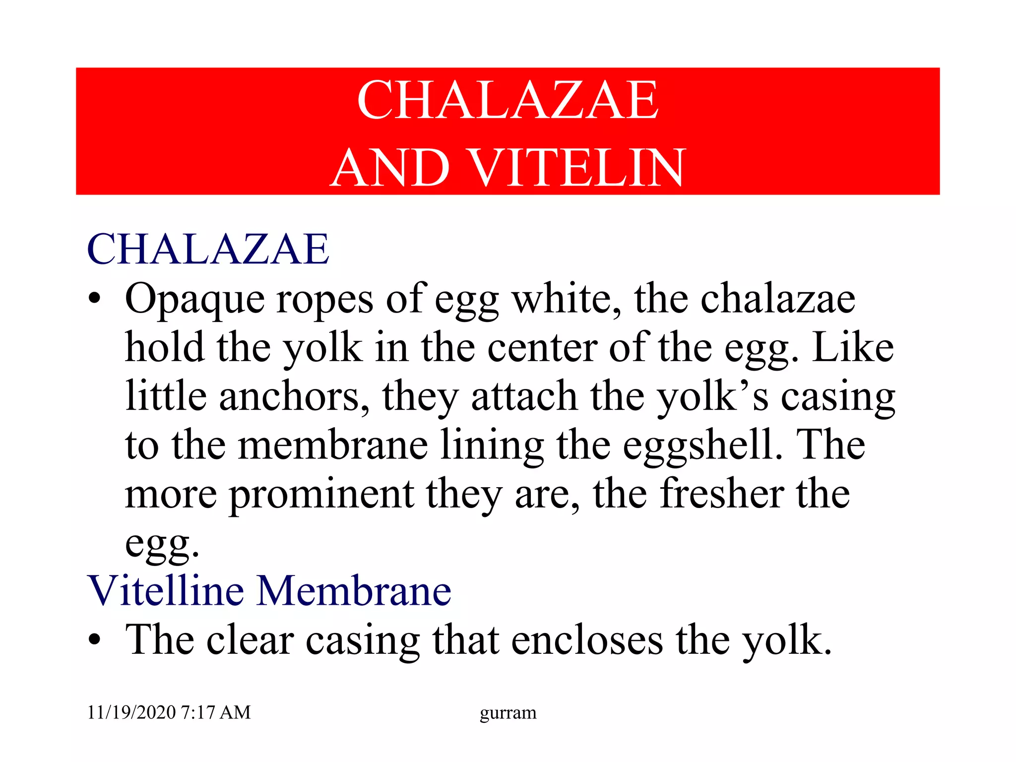 CHALAZAE
AND VITELIN
CHALAZAE
• Opaque ropes of egg white, the chalazae
hold the yolk in the center of the egg. Like
little anchors, they attach the yolk’s casing
to the membrane lining the eggshell. The
more prominent they are, the fresher the
egg.
Vitelline Membrane
• The clear casing that encloses the yolk.
11/19/2020 7:17 AM gurram
 