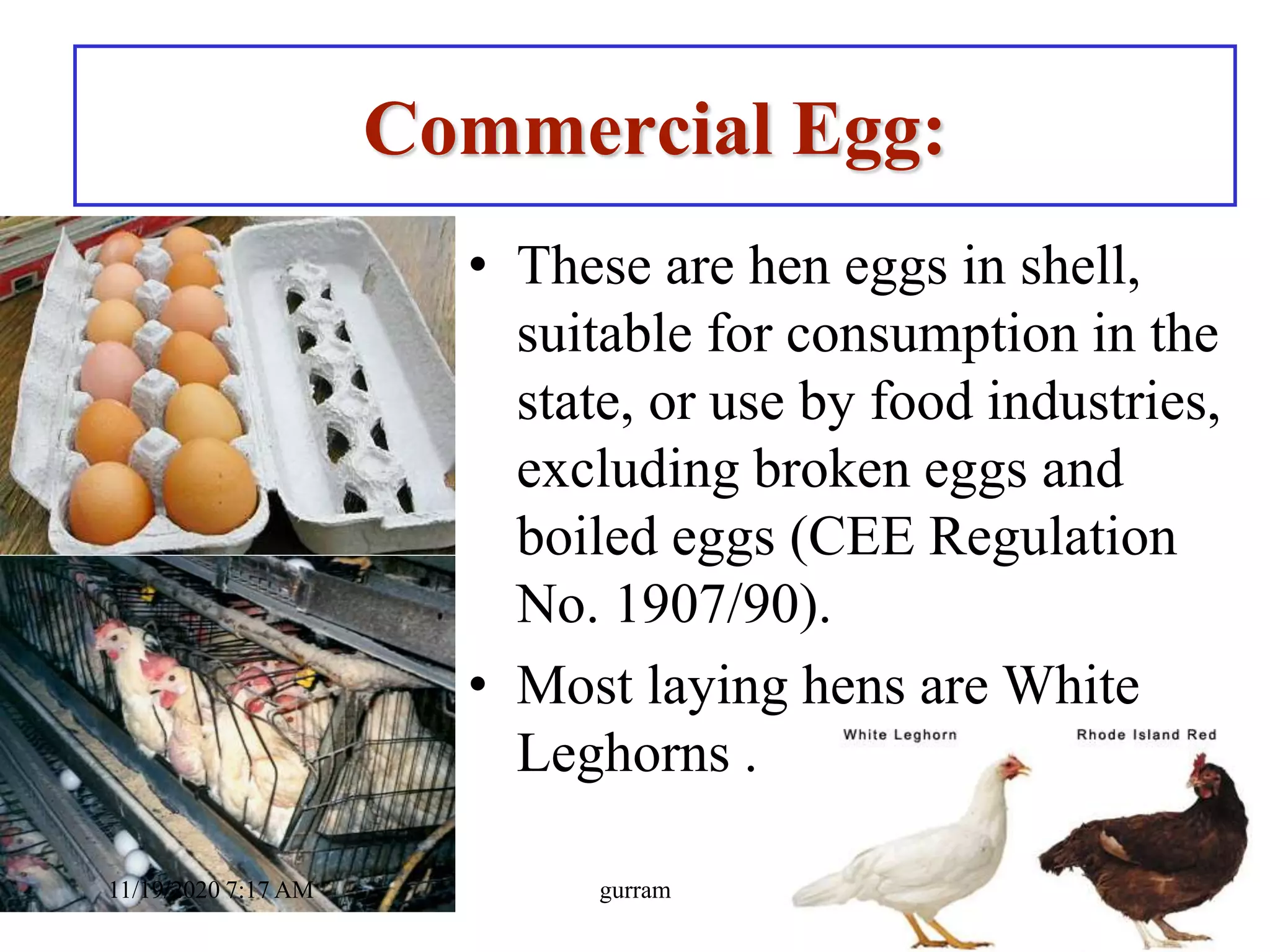 Commercial Egg:
• These are hen eggs in shell,
suitable for consumption in the
state, or use by food industries,
excluding broken eggs and
boiled eggs (CEE Regulation
No. 1907/90).
• Most laying hens are White
Leghorns .
11/19/2020 7:17 AM gurram
 