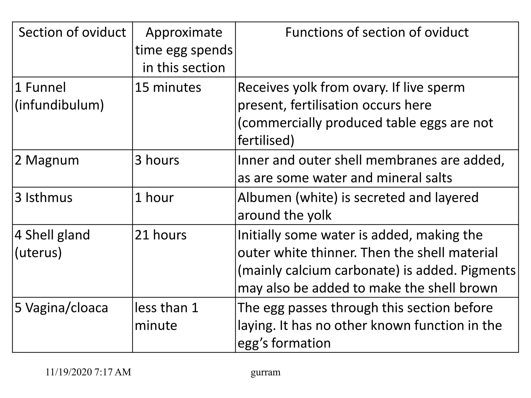 Section of oviduct Approximate
time egg spends
in this section
Functions of section of oviduct
1 Funnel
(infundibulum)
15 minutes Receives yolk from ovary. If live sperm
present, fertilisation occurs here
(commercially produced table eggs are not
fertilised)
2 Magnum 3 hours Inner and outer shell membranes are added,
as are some water and mineral salts
3 Isthmus 1 hour Albumen (white) is secreted and layered
around the yolk
4 Shell gland
(uterus)
21 hours Initially some water is added, making the
outer white thinner. Then the shell material
(mainly calcium carbonate) is added. Pigments
may also be added to make the shell brown
5 Vagina/cloaca less than 1
minute
The egg passes through this section before
laying. It has no other known function in the
egg’s formation
11/19/2020 7:17 AM gurram
 