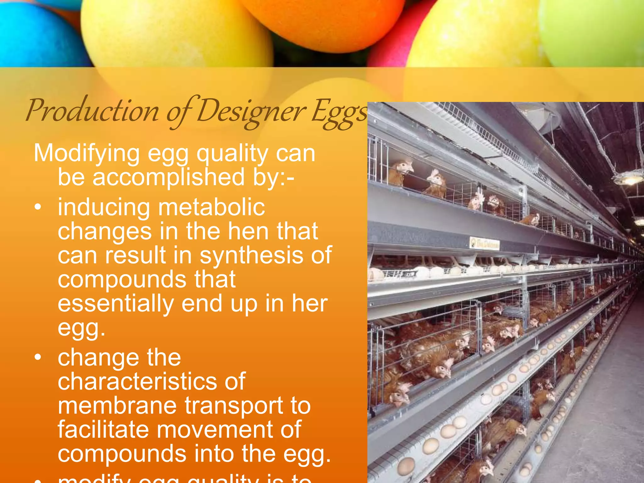 Production of Designer Eggs
Modifying egg quality can
be accomplished by:-
• inducing metabolic
changes in the hen that
can result in synthesis of
compounds that
essentially end up in her
egg.
• change the
characteristics of
membrane transport to
facilitate movement of
compounds into the egg.
 
