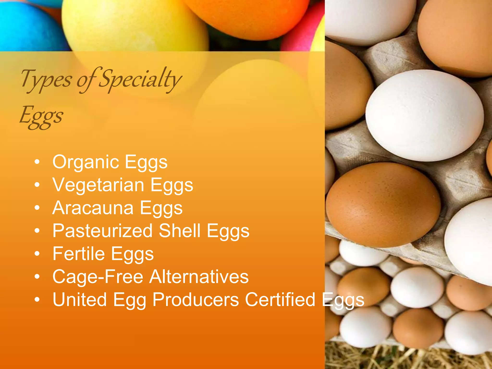 Types of Specialty
Eggs
• Organic Eggs
• Vegetarian Eggs
• Aracauna Eggs
• Pasteurized Shell Eggs
• Fertile Eggs
• Cage-Free Alternatives
• United Egg Producers Certified Eggs
 