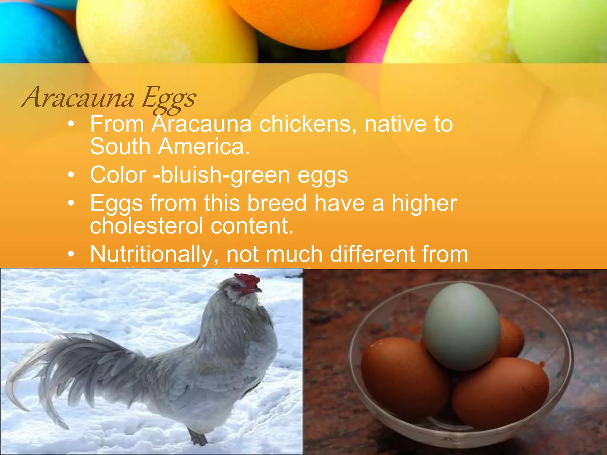 Aracauna Eggs
• From Aracauna chickens, native to
South America.
• Color -bluish-green eggs
• Eggs from this breed have a higher
cholesterol content.
• Nutritionally, not much different from
traditional white and brown eggs.
 