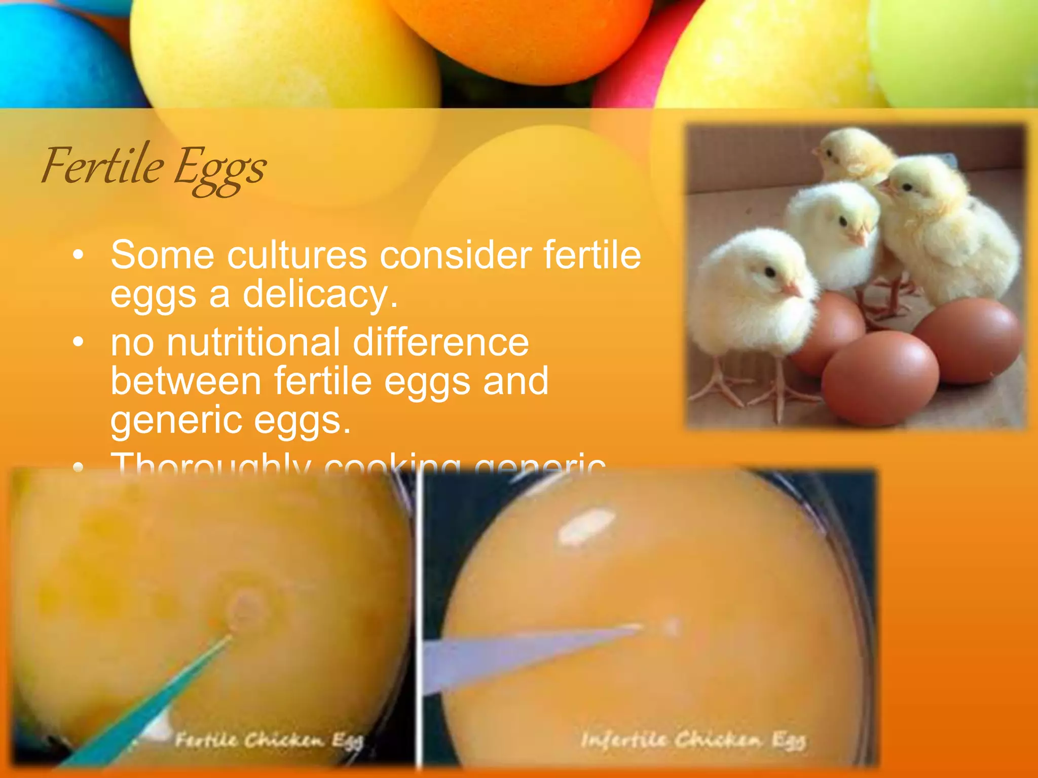 Fertile Eggs
• Some cultures consider fertile
eggs a delicacy.
• no nutritional difference
between fertile eggs and
generic eggs.
• Thoroughly cooking generic
shell eggs destroy any potential
salmonella bacteria in the egg.
 