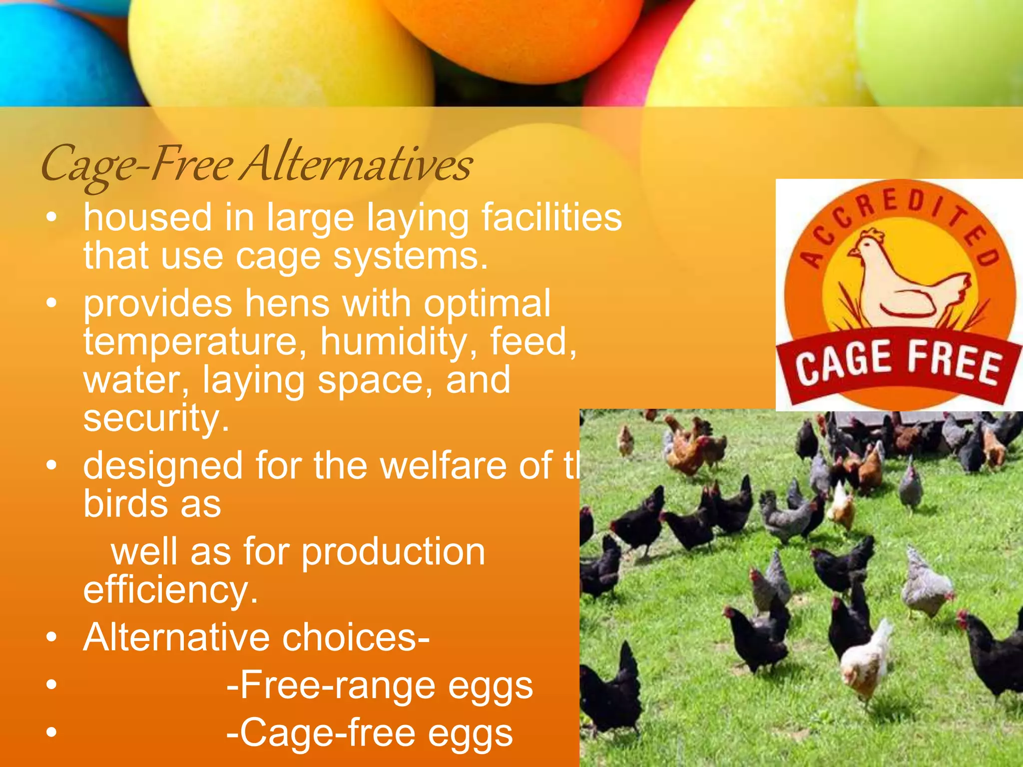 Cage-Free Alternatives
• housed in large laying facilities
that use cage systems.
• provides hens with optimal
temperature, humidity, feed,
water, laying space, and
security.
• designed for the welfare of the
birds as
well as for production
efficiency.
• Alternative choices-
• -Free-range eggs
• -Cage-free eggs
 