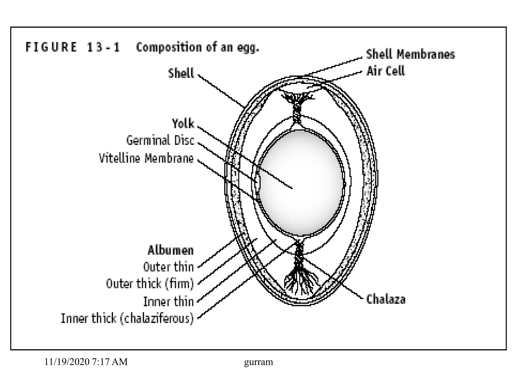 11/19/2020 7:17 AM gurram
 