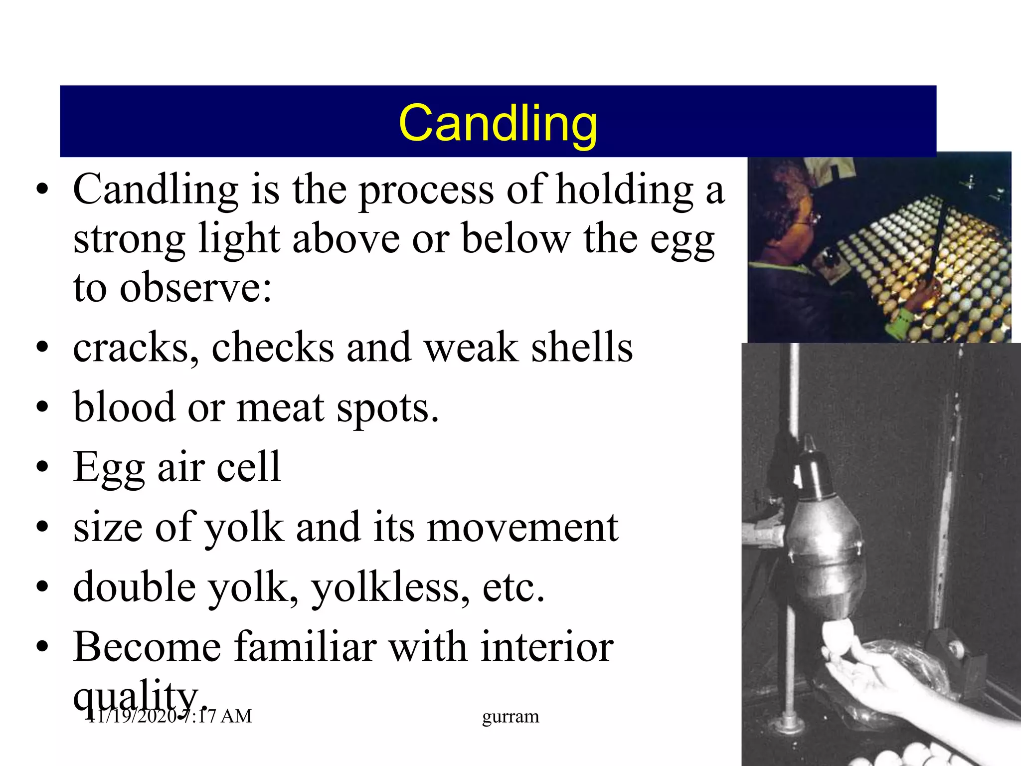 Candling
• Candling is the process of holding a
strong light above or below the egg
to observe:
• cracks, checks and weak shells
• blood or meat spots.
• Egg air cell
• size of yolk and its movement
• double yolk, yolkless, etc.
• Become familiar with interior
quality.11/19/2020 7:17 AM gurram
 