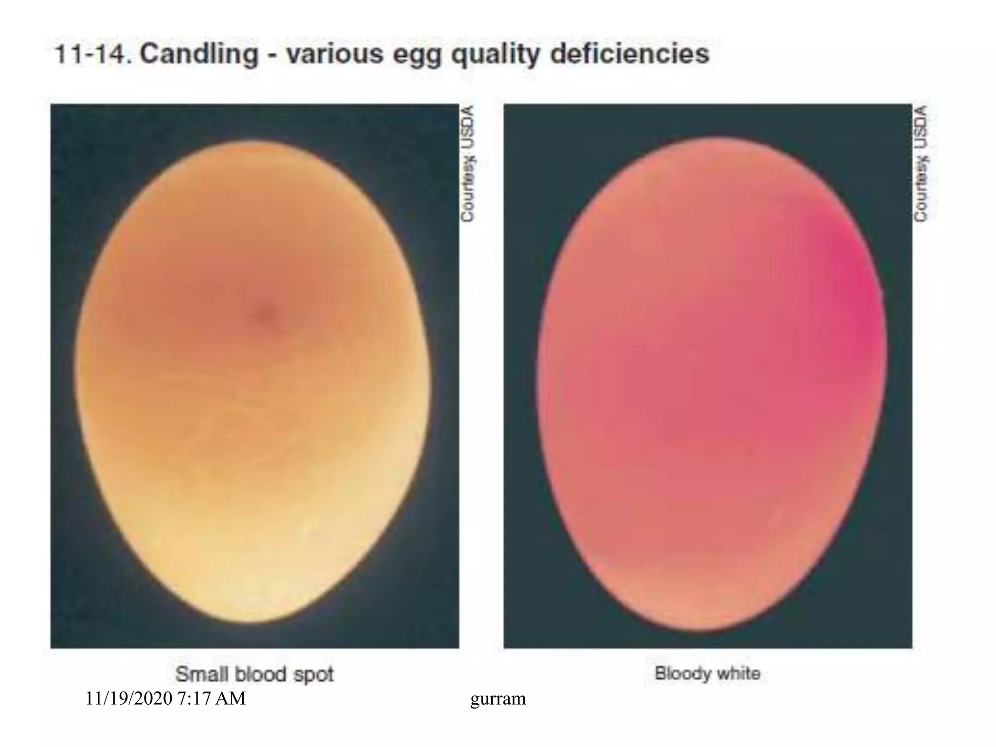 11/19/2020 7:17 AM gurram
 