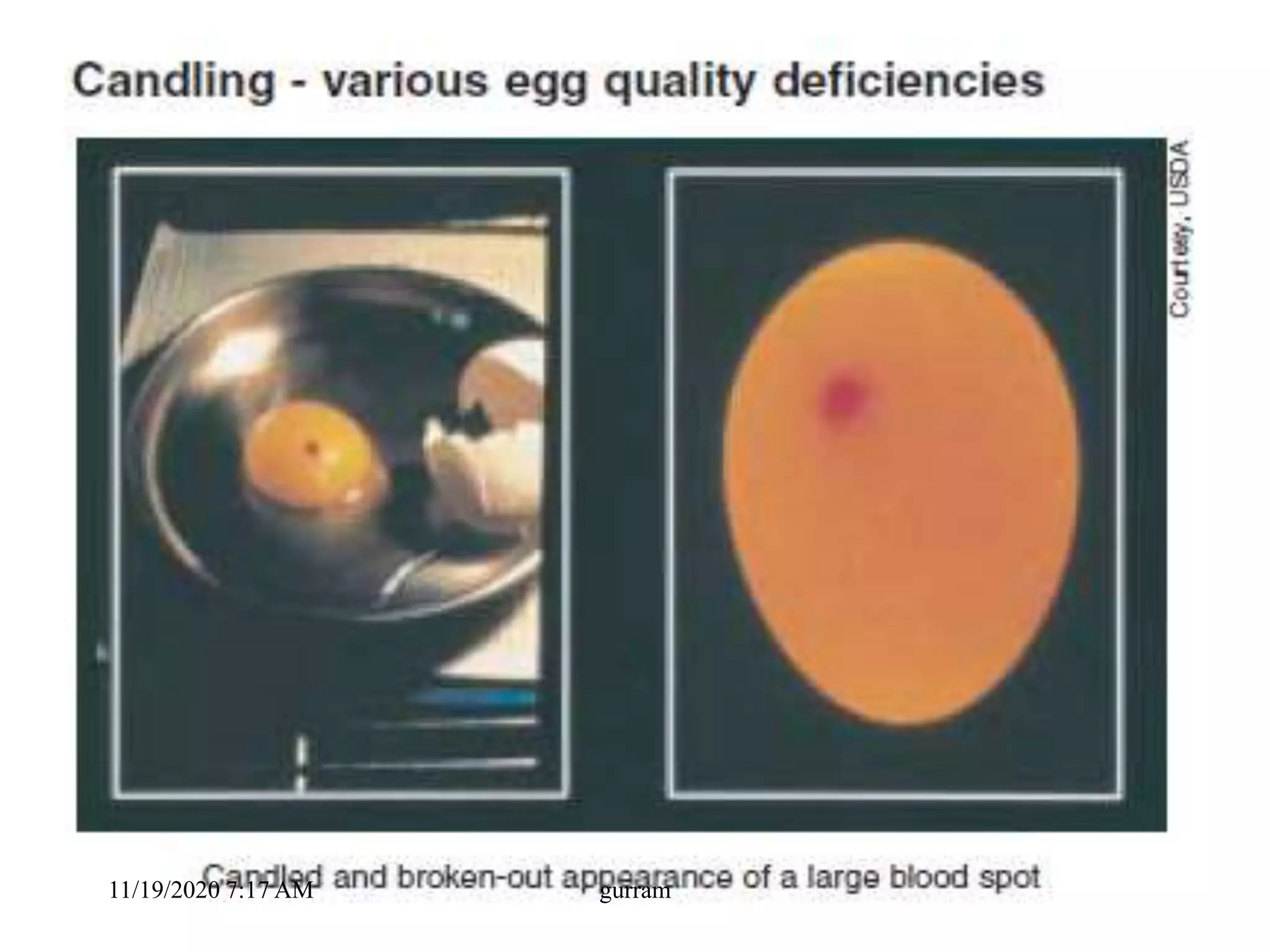 11/19/2020 7:17 AM gurram
 