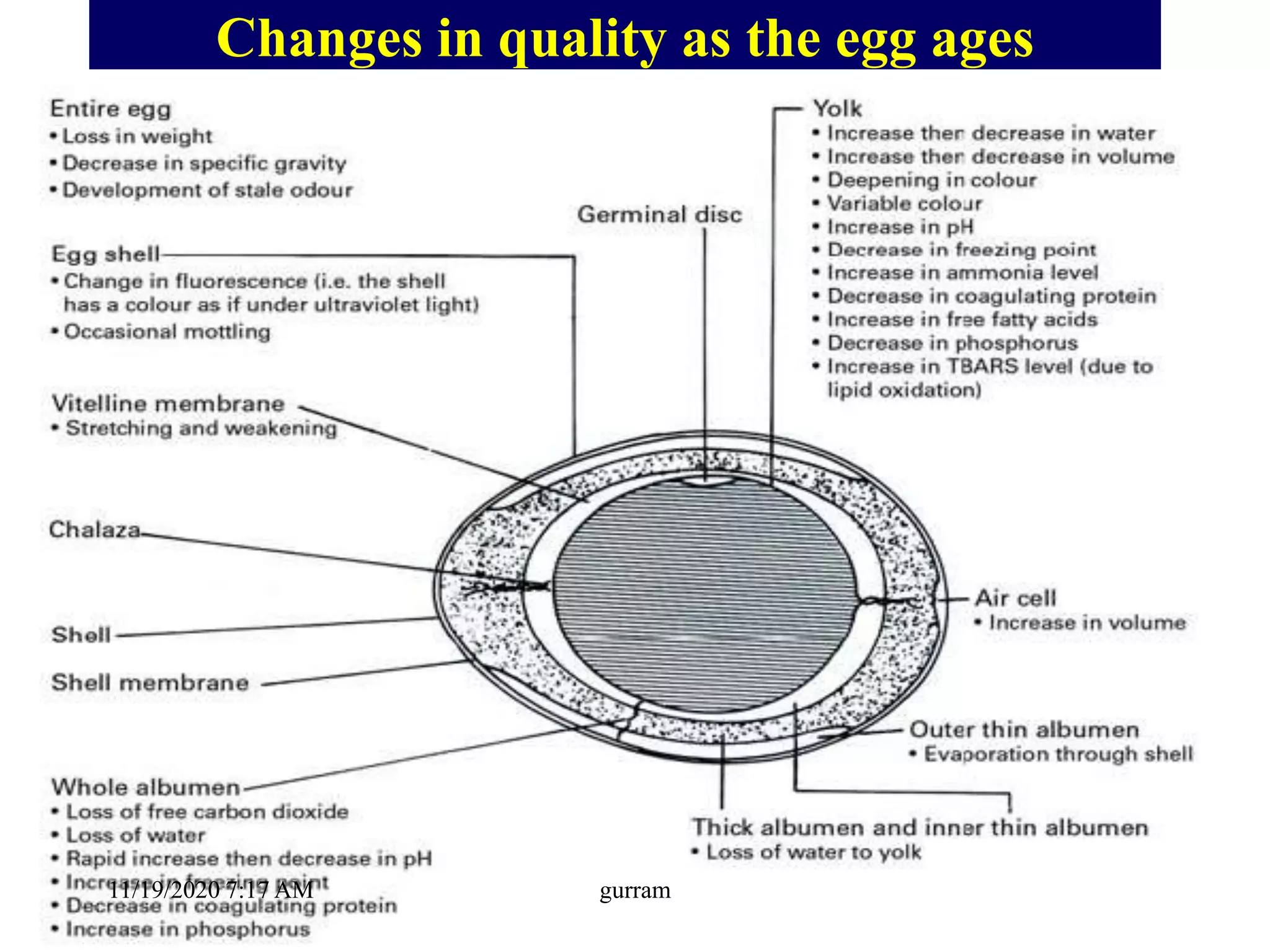 Changes in quality as the egg ages
11/19/2020 7:17 AM gurram
 