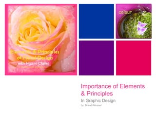 +




    Importance of Elements
    & Principles
    In Graphic Design
    by: Brandi Musser
 