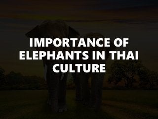 IMPORTANCE OF
ELEPHANTS IN THAI
CULTURE
 